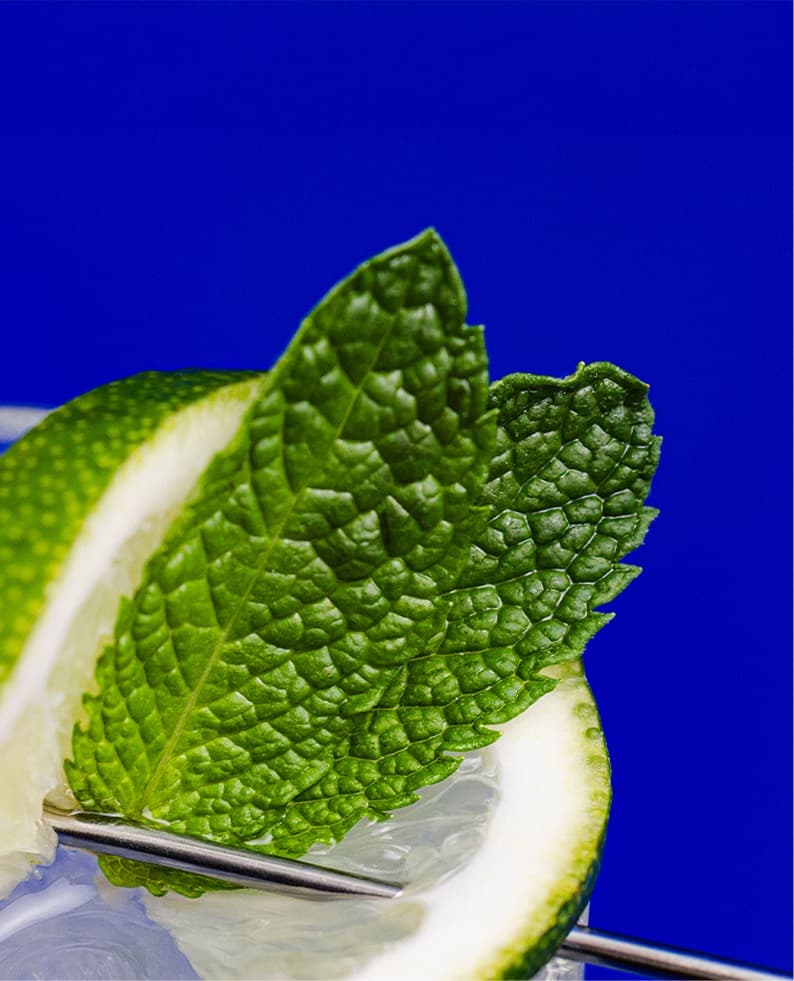 A detail of the Saratoga Collection Sparkling Water Abstraction of Lime Mojito cocktail recipe.
